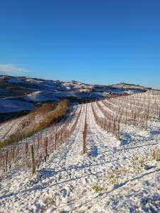 Beautiful private house among the Moscato vineyards