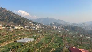 Slow living, Solan