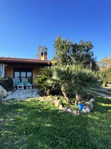 L'Uliveto HOLIDAY HOUSE img34