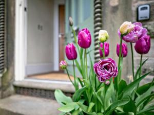 2 Bed in Buxton oc-91990