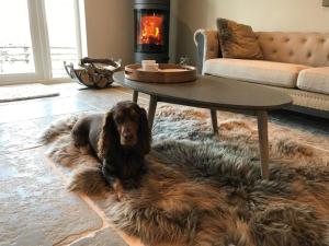 3 Bed in Melton Mowbray oc-61788