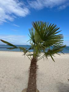 Duenenschloss-Haus-2-Wohnung-13-274