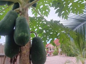 Baan Farang