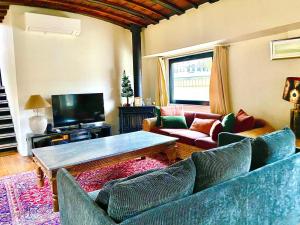 Grande péniche 4 ch - 10 pers -Paris - Ile de Puteaux- terrasses