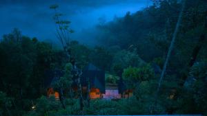 Eterno Camellia & Elettaria Luxury Resort Munnar