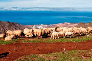 Tranquil Villa La cabaa Galdar
