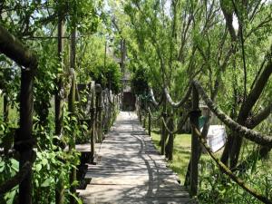 Spacious apartment in Caorle with shared pool