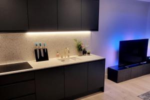 Modern Ground Floor Apartment