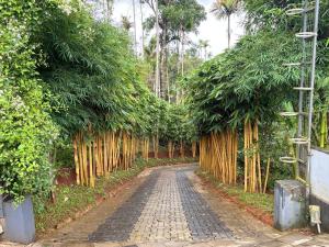 ARAMAM SERVICE VIlla