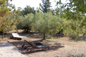 Casa Sa Curcurica img18