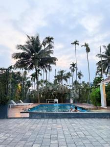 WILD WIND Resort