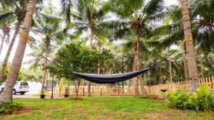 Kamar Grove Resort