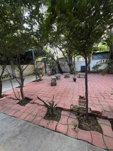 Green Verandah And The Wooden House