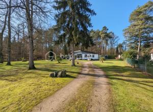 Etape forêt Fontainebleau climb & randonnées