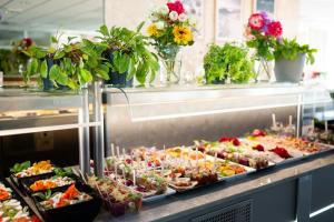 Ośrodek Rehabilitacyjno - Wypoczynkowy Syrena Mielno