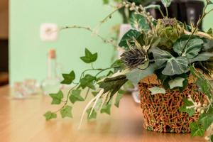 Studio apartment Vale in Old Town