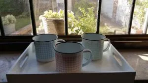 Dragonfly B&B - Marcignago