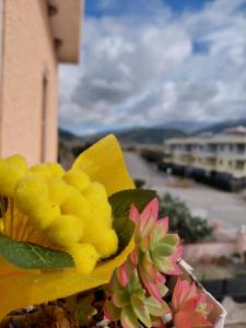 Apartment Sun & Sea - Casa Vacanze Vista Mare