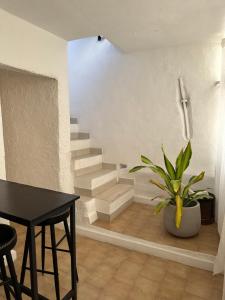 Casa Andrée img5