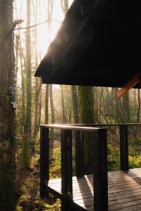 Yogis Cabin