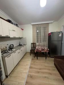 Abastumani Apartment