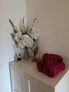 T2 cocooning near Giverny