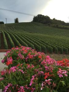 Maisons de vacances La Loge Du Vigneron : Maison 3 Chambres