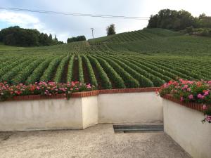 Maisons de vacances La Loge Du Vigneron : photos des chambres