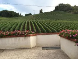 La Loge Du Vigneron - Boursault