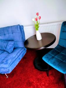 Apartamente9 Aurelia baile felix