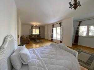 Villa Maadi 35 - Duplex villa