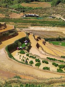 Mu Cang Chai Terrace View Bungalows