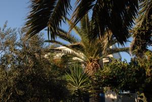 Lilo's Apartments Astypalaia Greece