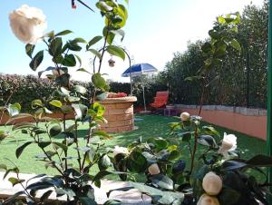 Gli Amici di Adry img21