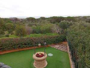 Gli Amici di Adry img15