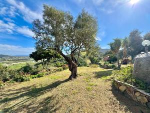 Country Guest House img37