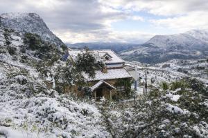 Villa 115 by Villamya