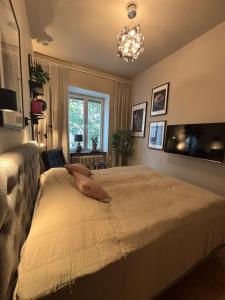 Inviting apartment for 4 near Liseberg #1001