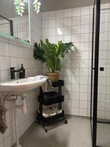 Inviting apartment for 4 near Liseberg #1001