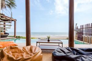 Let go see the Dolphin