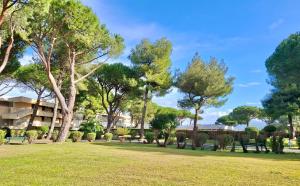 Studio Silvia 3 beds with common swimming pool in Marina di Bibbona