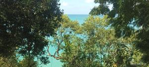 Frente al mar APARTO STUDIO BLUE LIZARD