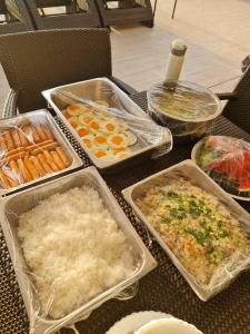 Let go see the Dolphin