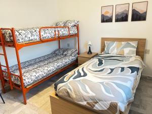 Discovering Apartment Pulicchio