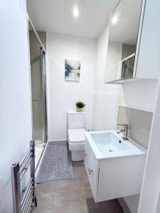 Modern Spacious Premium Studio 5min from Elizabeth Line