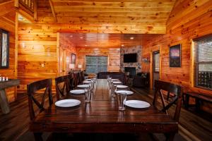 A Bearadise Splash By Colonial Properties