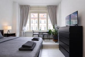 Cozy Apartment in the heart of Prague