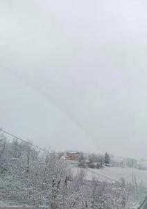 Podere Sode del Mardello