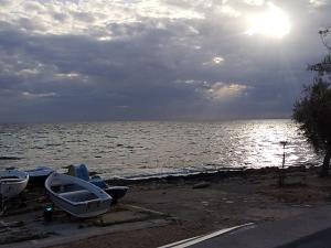 The Pearl of Lido Conchiglie