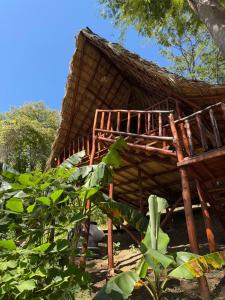 Itsalifestyle Jungle Cabana